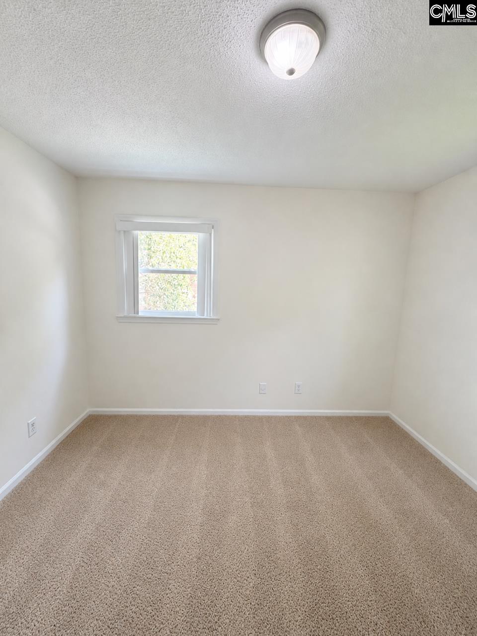 212 Maid Stone Road Irmo, SC 29063 - Photo 12 of 13