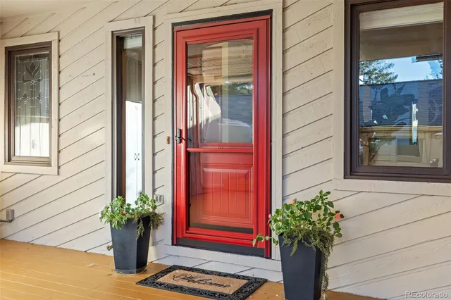 a potted plant sitting in front of a house
