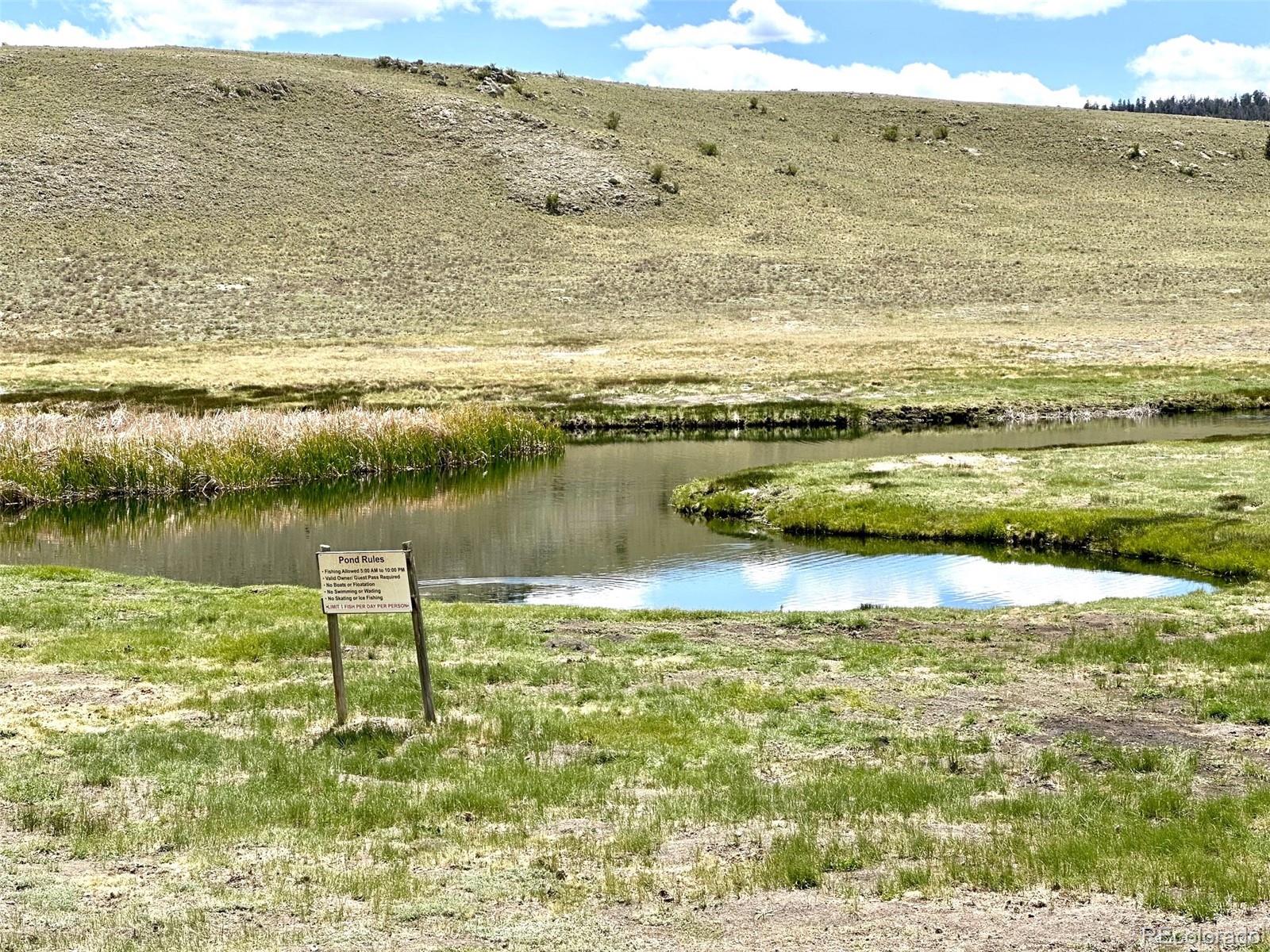 1593 Yellowstone Road Hartsel, CO 80449 - Photo 6 of 16