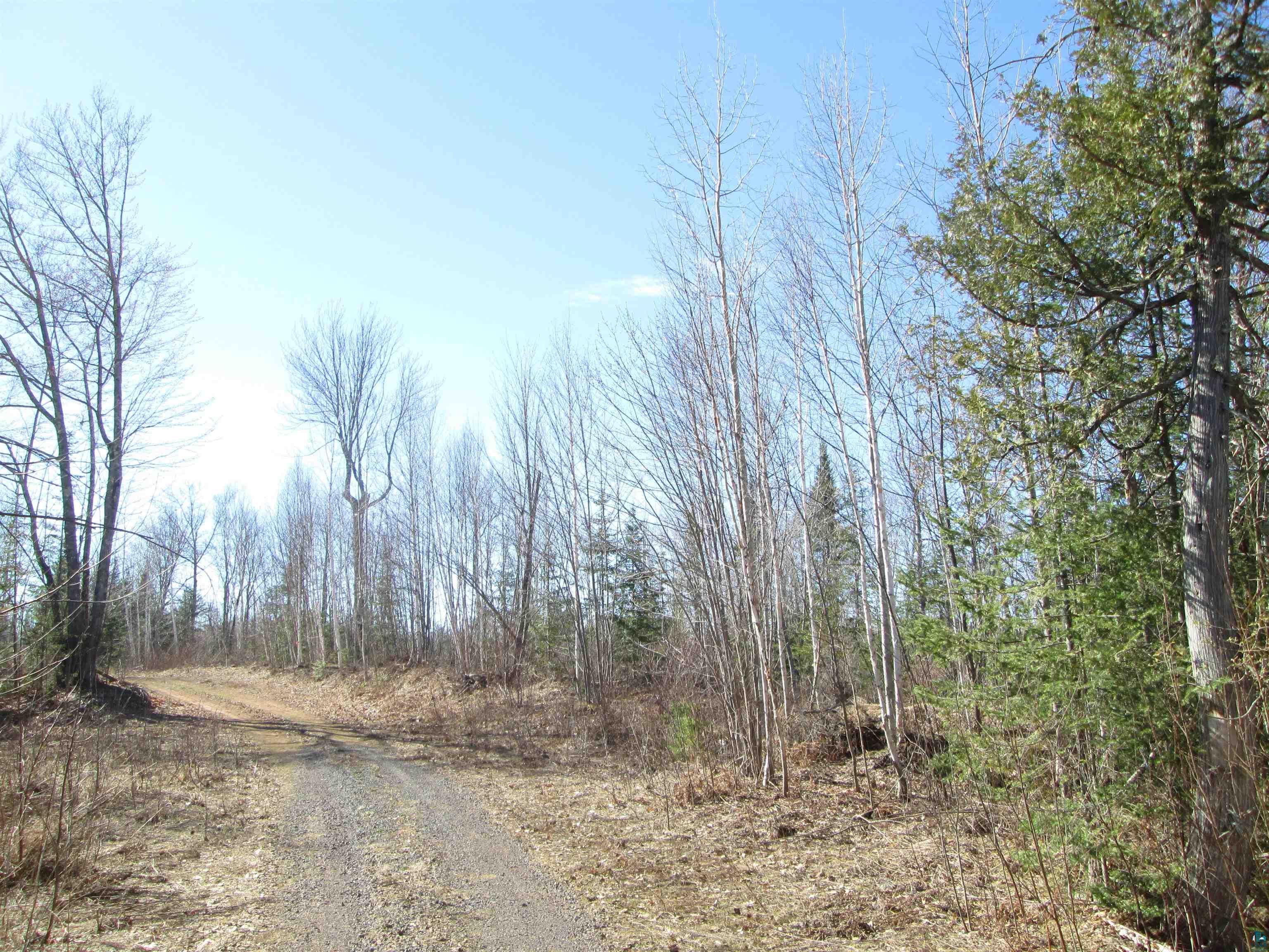 Lot 1-40 Acres County Road South Range, WI 54874 - Photo 21 of 30