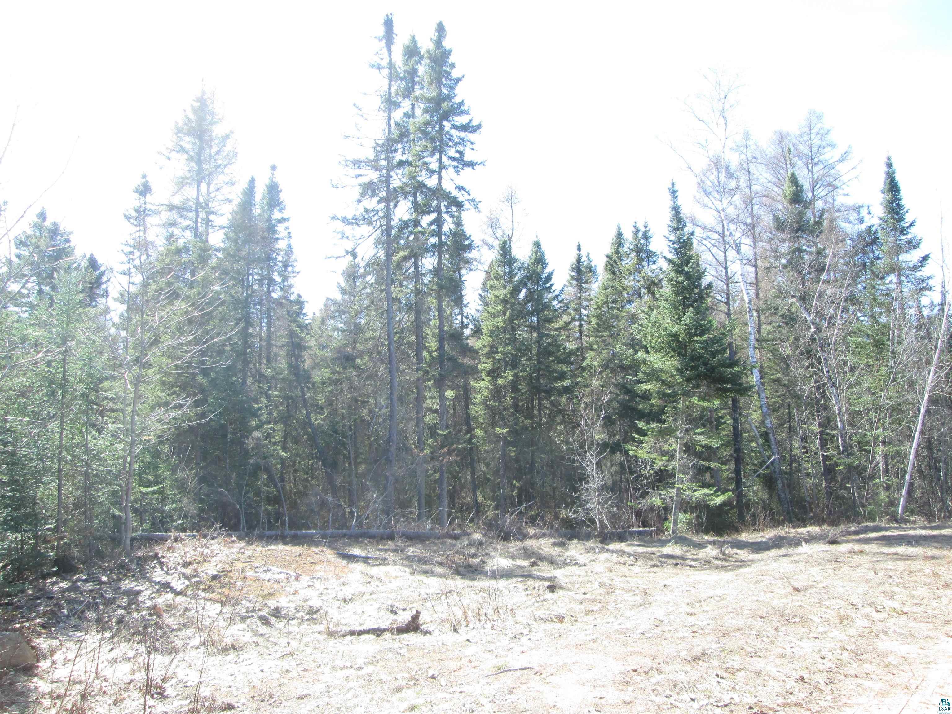 Lot 1-40 Acres County Road South Range, WI 54874 - Photo 10 of 30