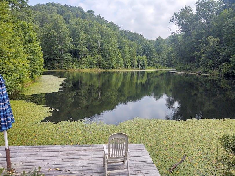 1200 Clearfork Road Morehead, KY 40351 - Photo 72 of 86 Photo 72