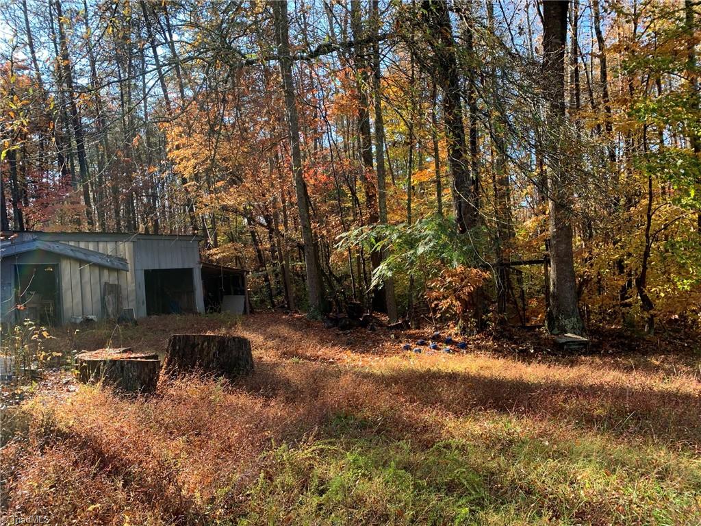 755 Berry Hill Bridge Road Ruffin, NC 27326 - Photo 28 of 43