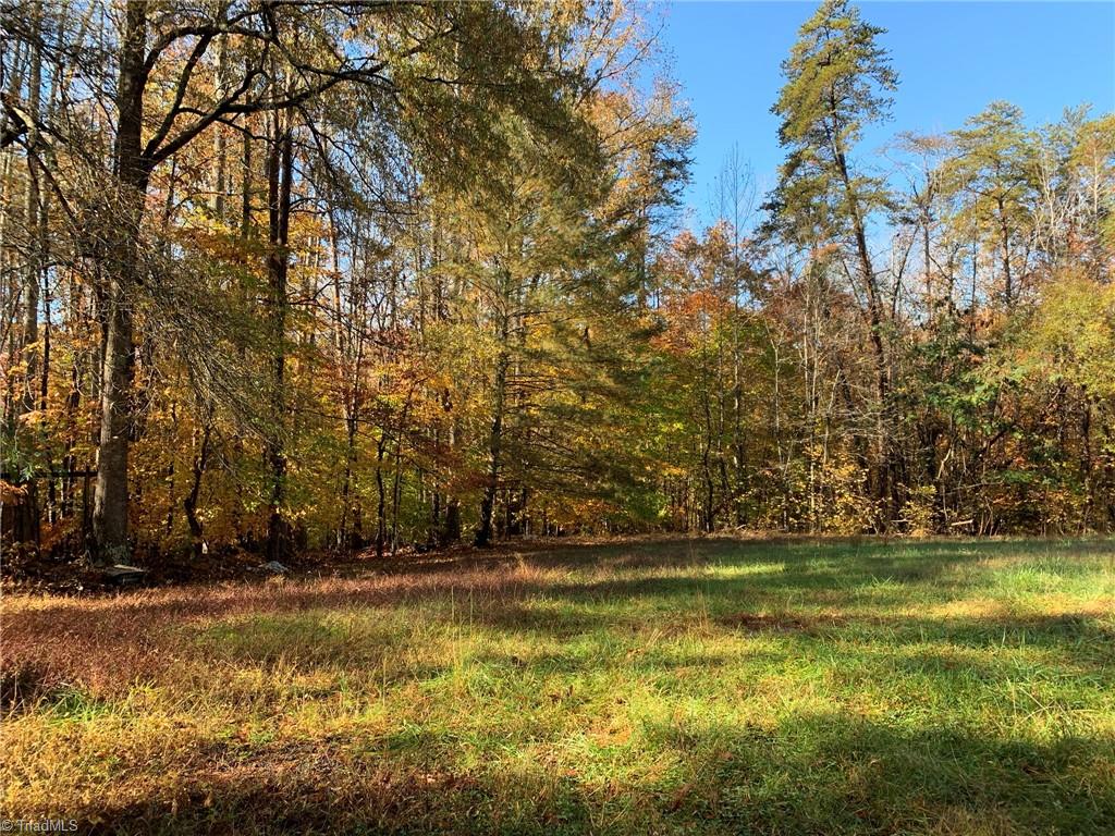 755 Berry Hill Bridge Road Ruffin, NC 27326 - Photo 29 of 43