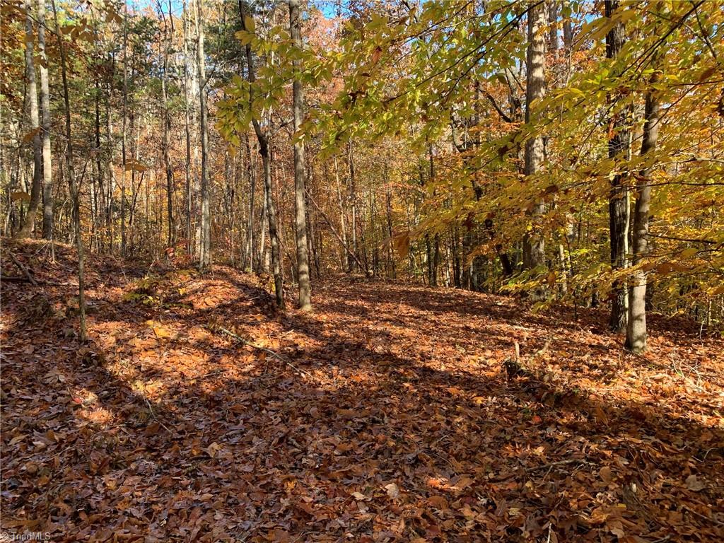 755 Berry Hill Bridge Road Ruffin, NC 27326 - Photo 36 of 43