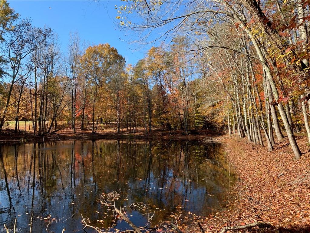 755 Berry Hill Bridge Road Ruffin, NC 27326 - Photo 4 of 43