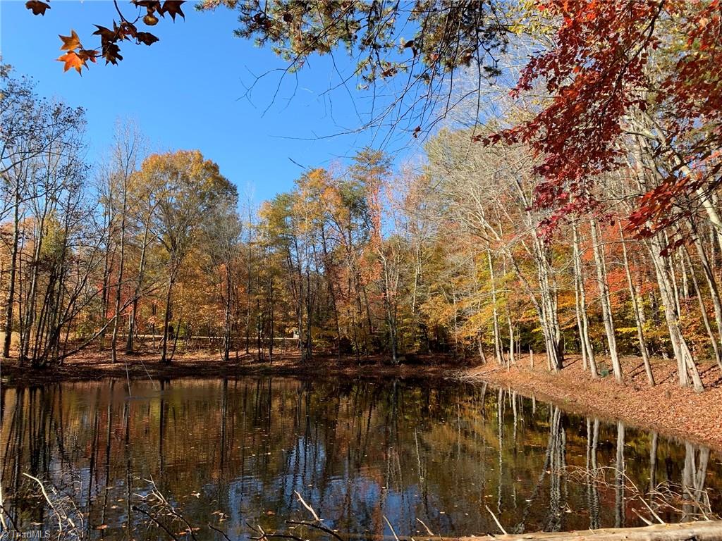 755 Berry Hill Bridge Road Ruffin, NC 27326 - Photo 5 of 43