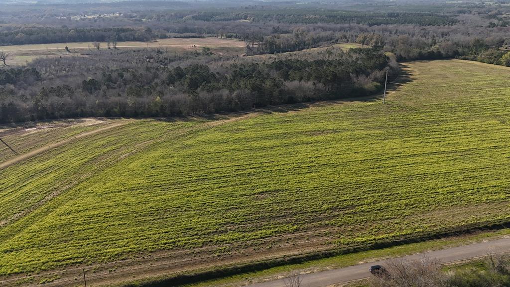 Lot 4 Gilley Mill Road Dothan, AL 36305 - Photo 1 of 3
