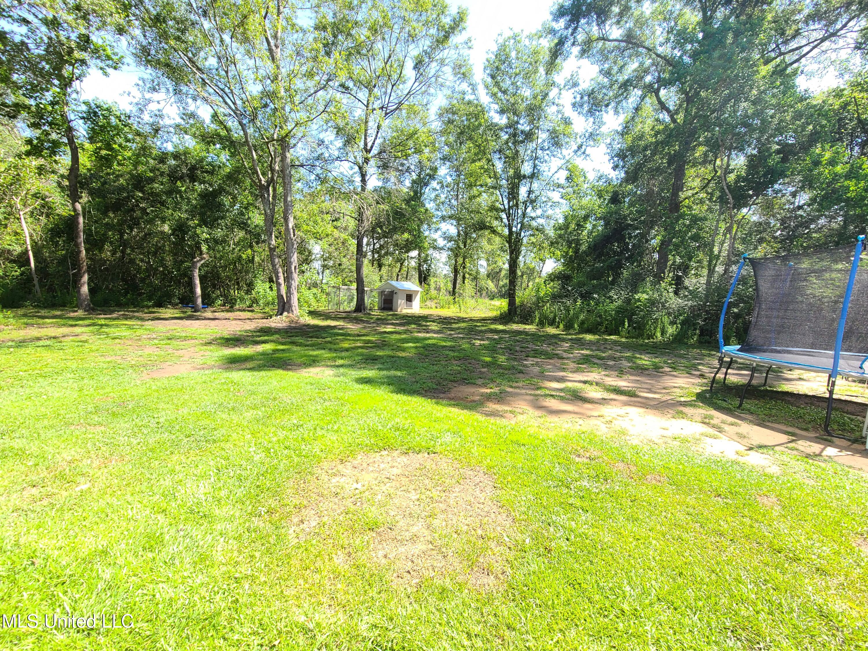 33 West M Stewart Road Carriere, MS 39426 - Photo 18 of 21 18
