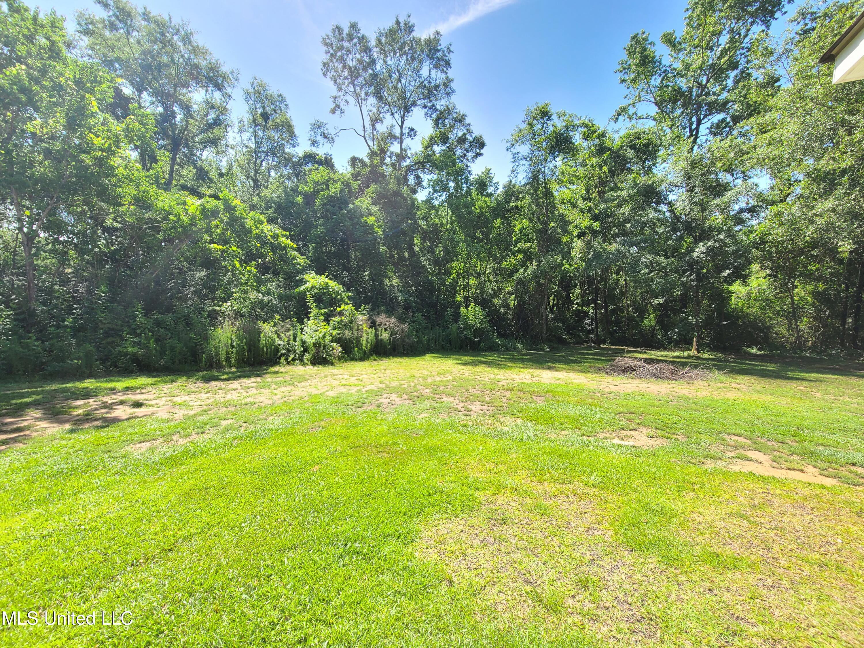 33 West M Stewart Road Carriere, MS 39426 - Photo 20 of 21 20