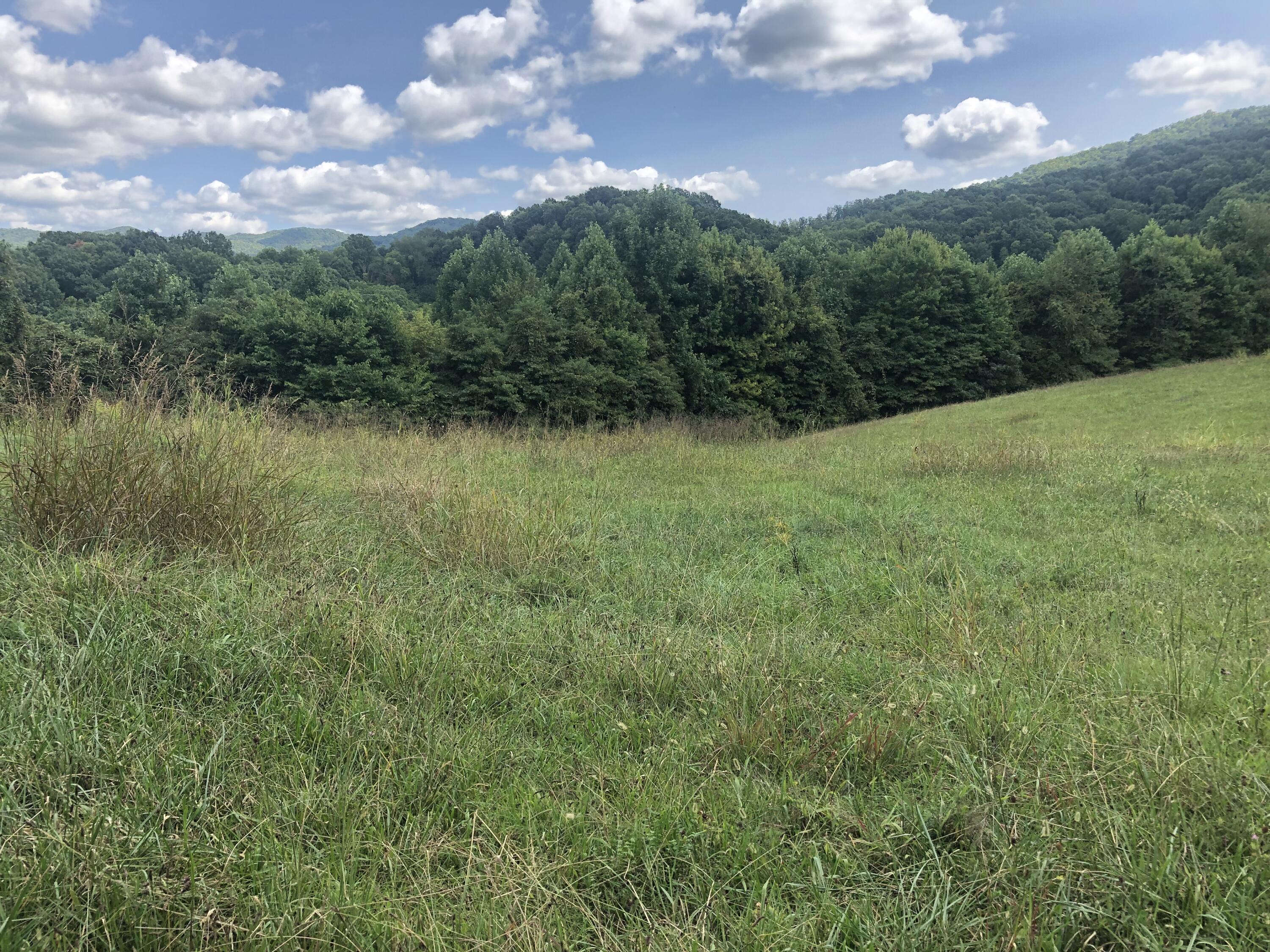 257 McKeehan Ridge Road Elizabethton, TN 37643 - Photo 13 of 29 45762BCD-20B7-47EC-BCBA-CB4772EF1183