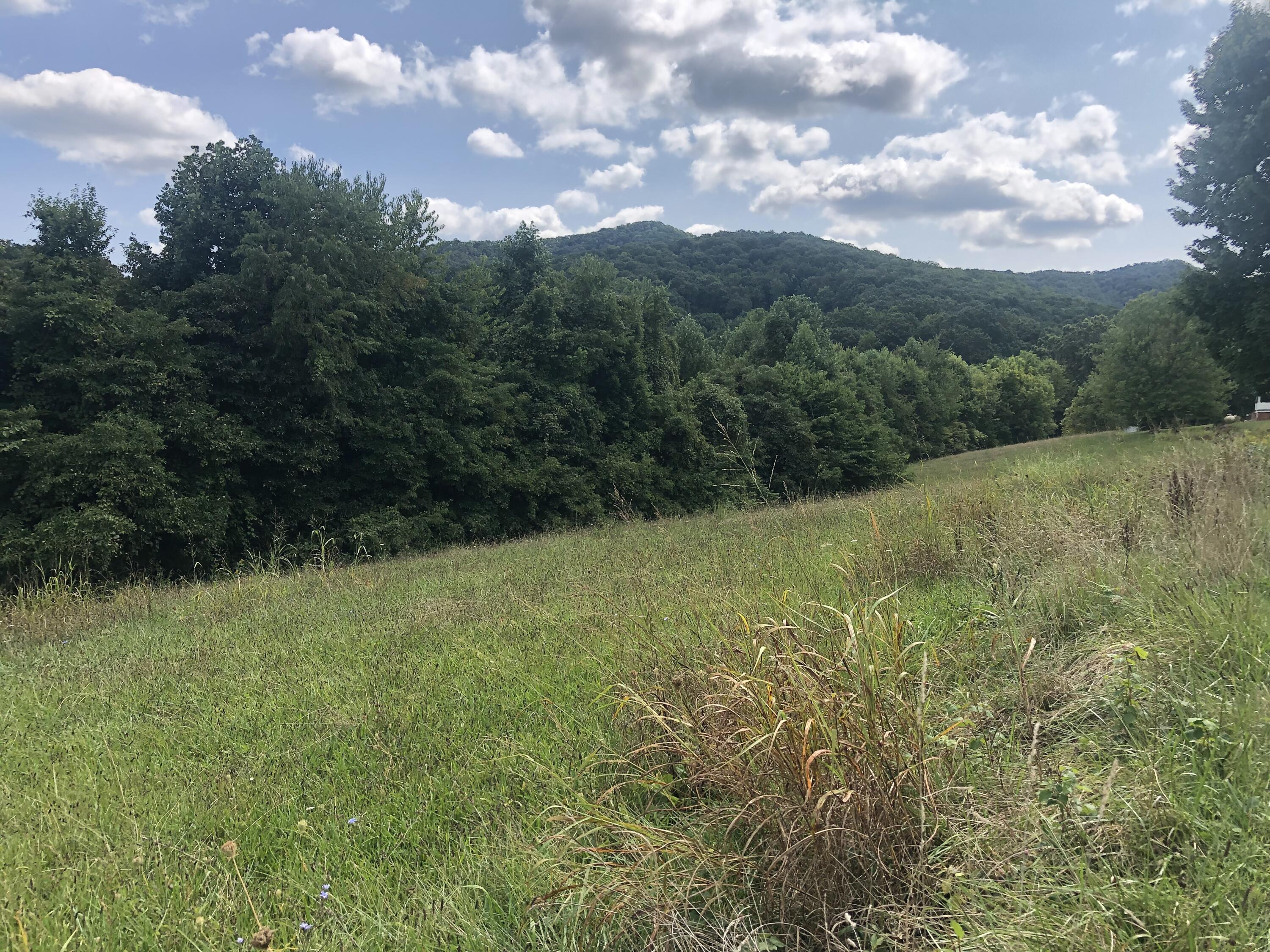 257 McKeehan Ridge Road Elizabethton, TN 37643 - Photo 6 of 29 43862603-252F-4DCA-A1F3-A3CE92FDBB28