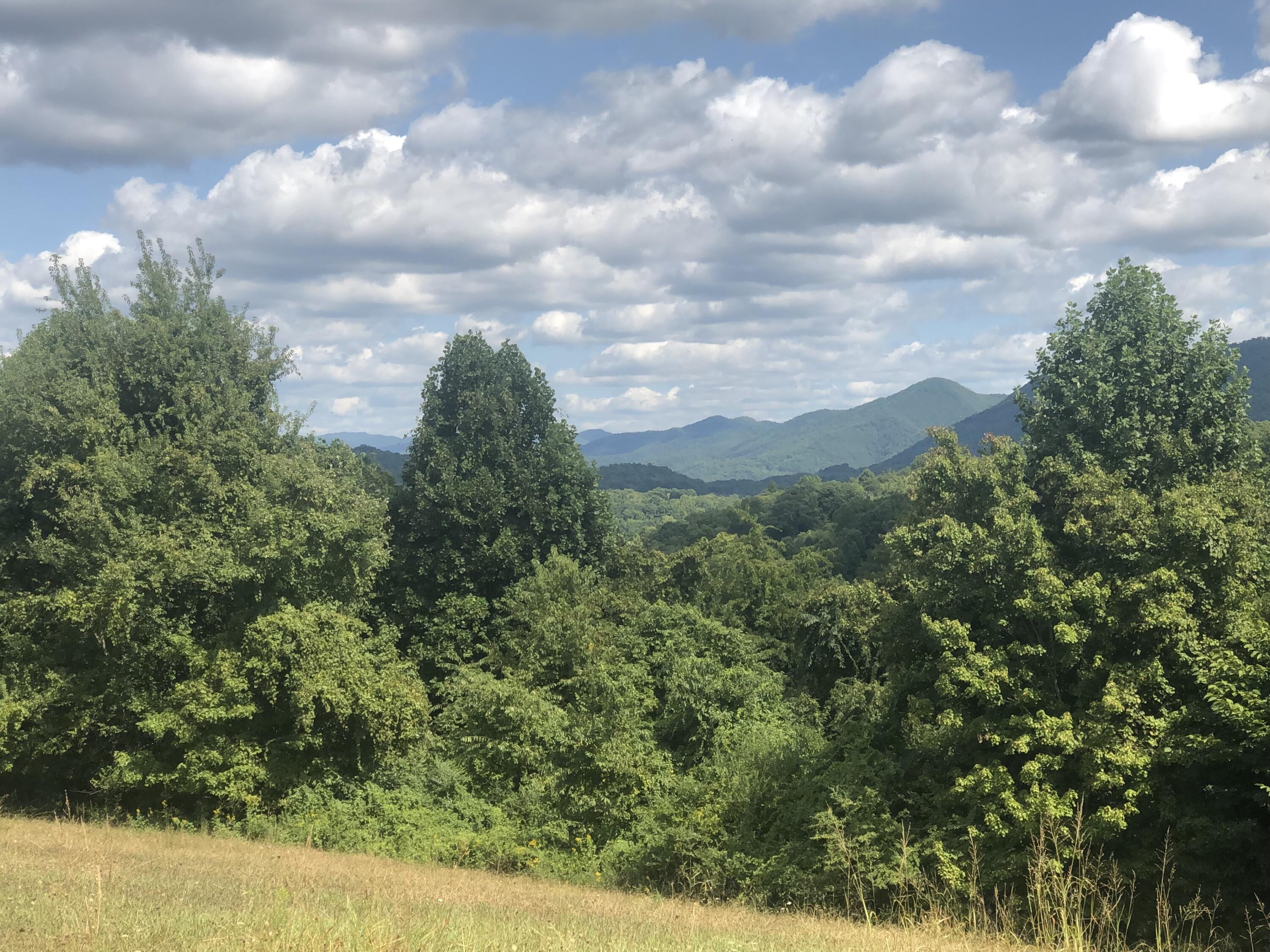 257 McKeehan Ridge Road Elizabethton, TN 37643 - Photo 8 of 29 E6886323-6181-4FAE-B002-682CF188E8BC