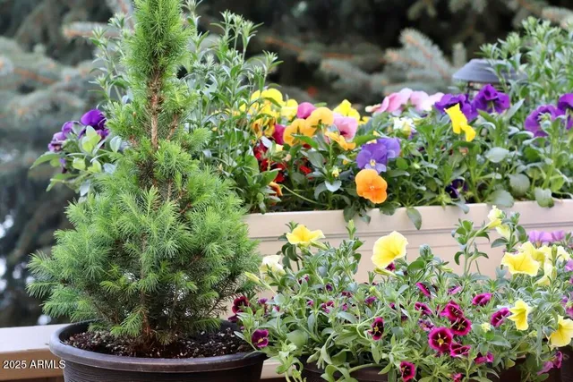 $400,000 | 912 West Madera Lane, Payson, AZ 85541