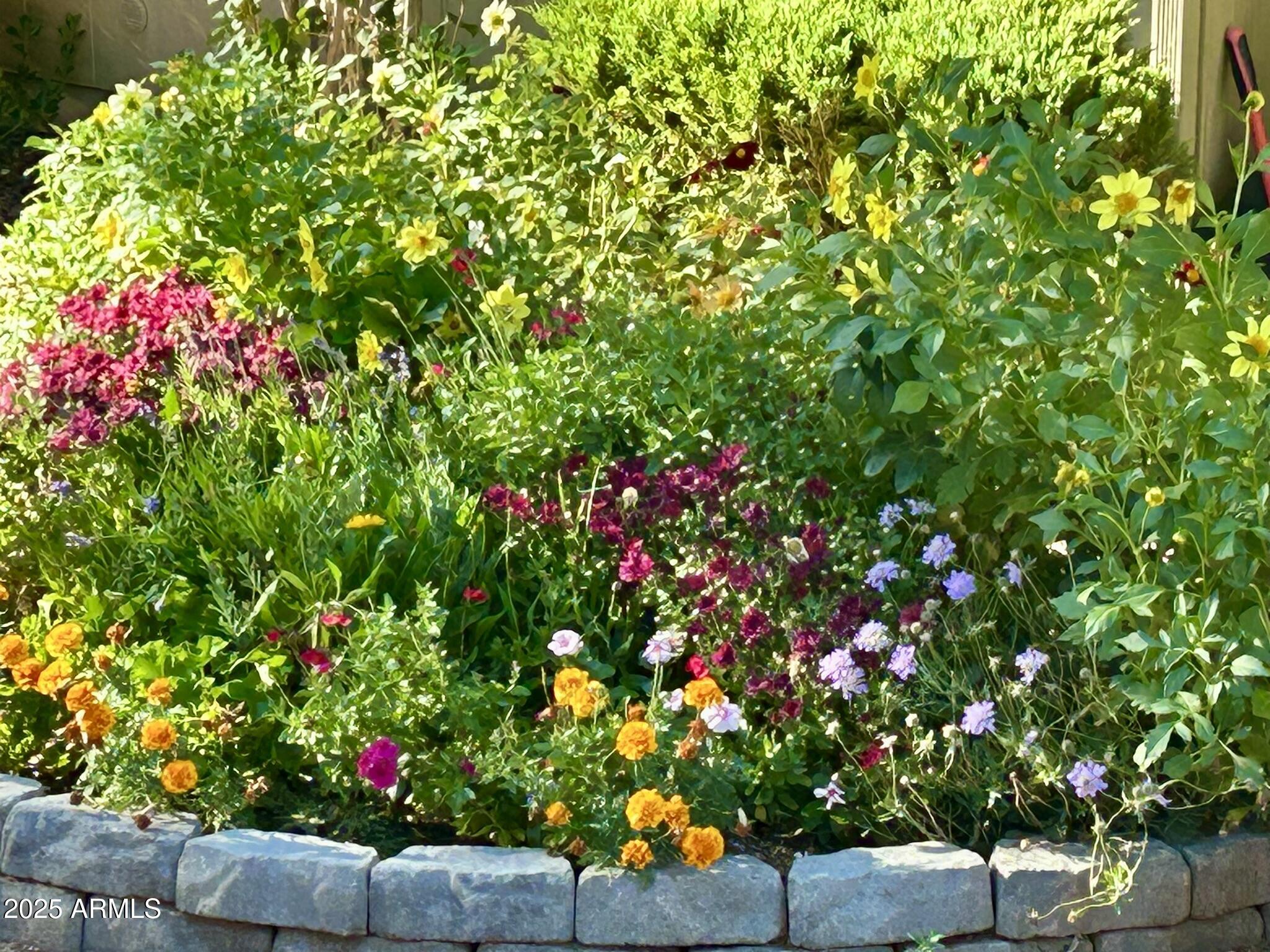 912 West Madera Lane Payson, AZ 85541 - Photo 3 of 62 2