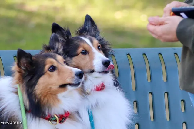 $400,000 | 912 West Madera Lane, Payson, AZ 85541