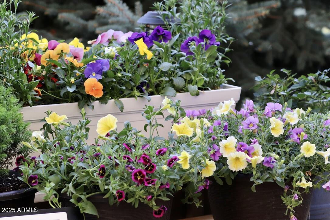 912 West Madera Lane Payson, AZ 85541 - Photo 40 of 62 40