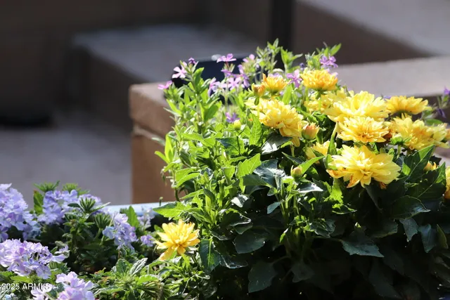 $400,000 | 912 West Madera Lane, Payson, AZ 85541