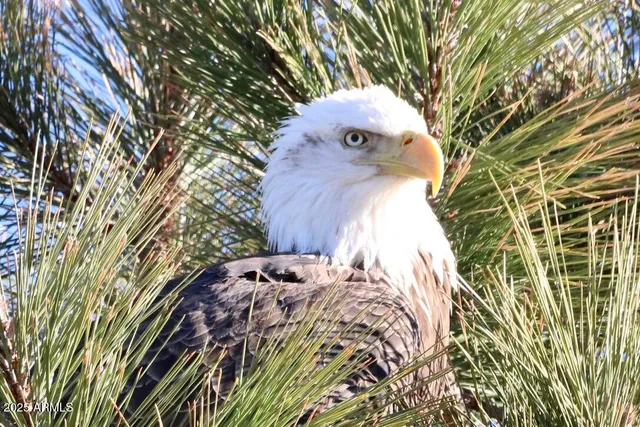 $400,000 | 912 West Madera Lane, Payson, AZ 85541