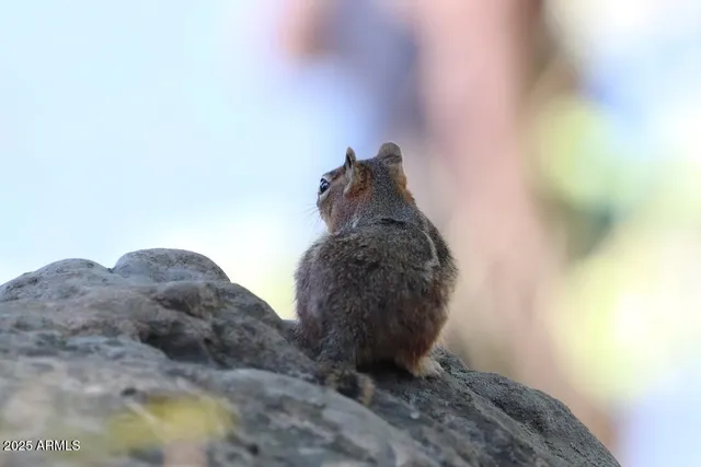 $400,000 | 912 West Madera Lane, Payson, AZ 85541