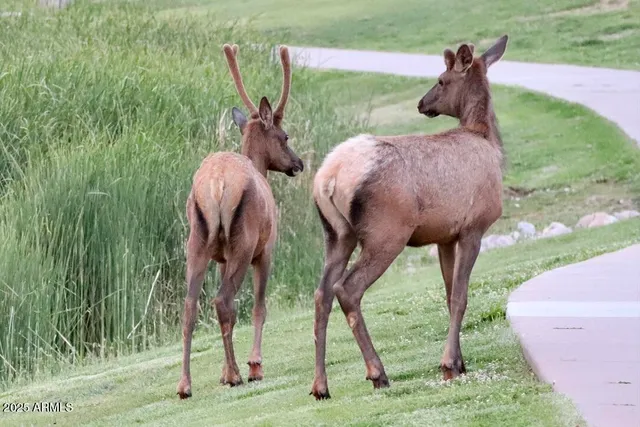 $400,000 | 912 West Madera Lane, Payson, AZ 85541