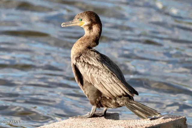 $400,000 | 912 West Madera Lane, Payson, AZ 85541