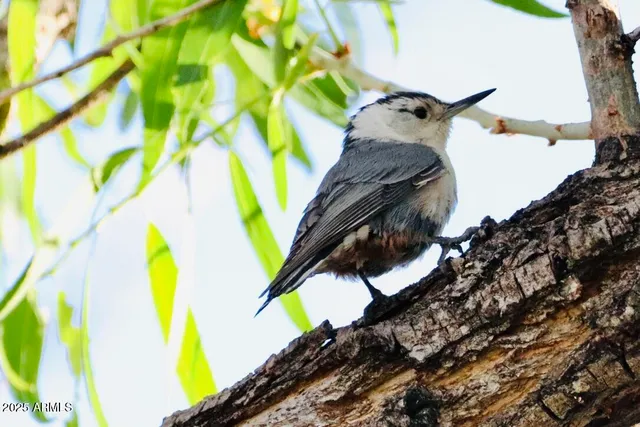 $400,000 | 912 West Madera Lane, Payson, AZ 85541