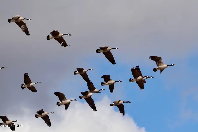 $400,000 | 912 West Madera Lane, Payson, AZ 85541