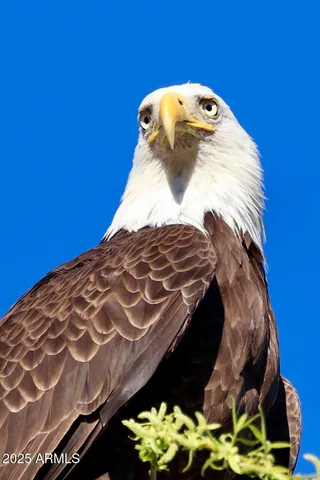 $400,000 | 912 West Madera Lane, Payson, AZ 85541