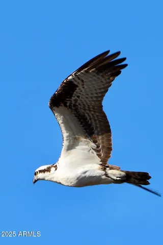 $400,000 | 912 West Madera Lane, Payson, AZ 85541