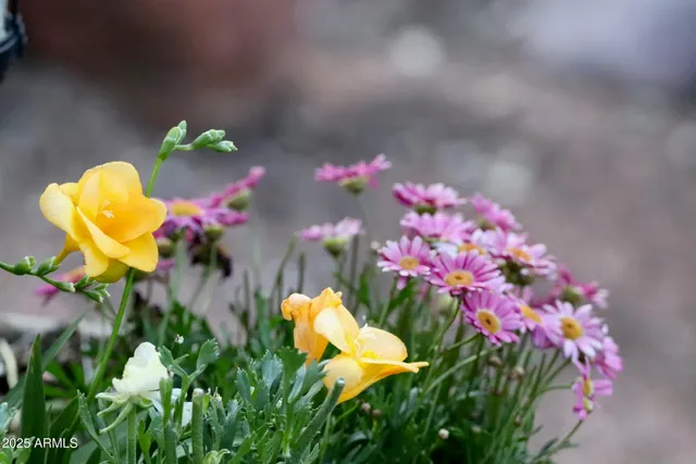 $400,000 | 912 West Madera Lane, Payson, AZ 85541