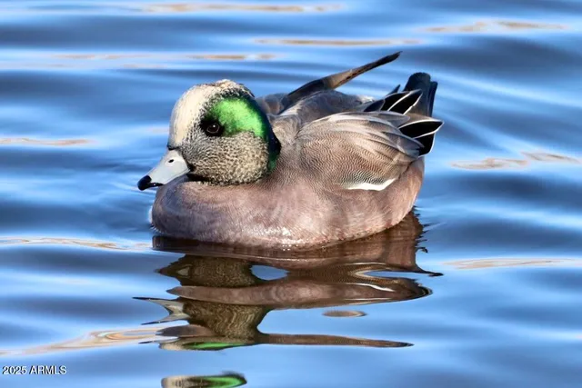 $400,000 | 912 West Madera Lane, Payson, AZ 85541