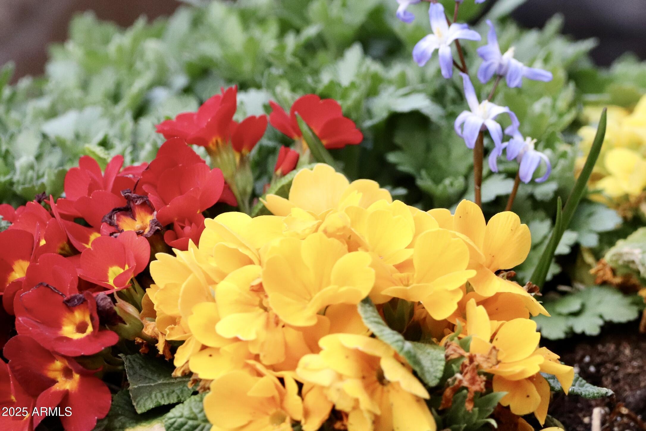 912 West Madera Lane Payson, AZ 85541 - Photo 61 of 62 61