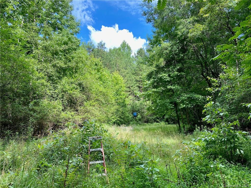 3826 Beaty Road Gastonia, NC 28056 - Photo 4 of 5 a view of a lush green forest