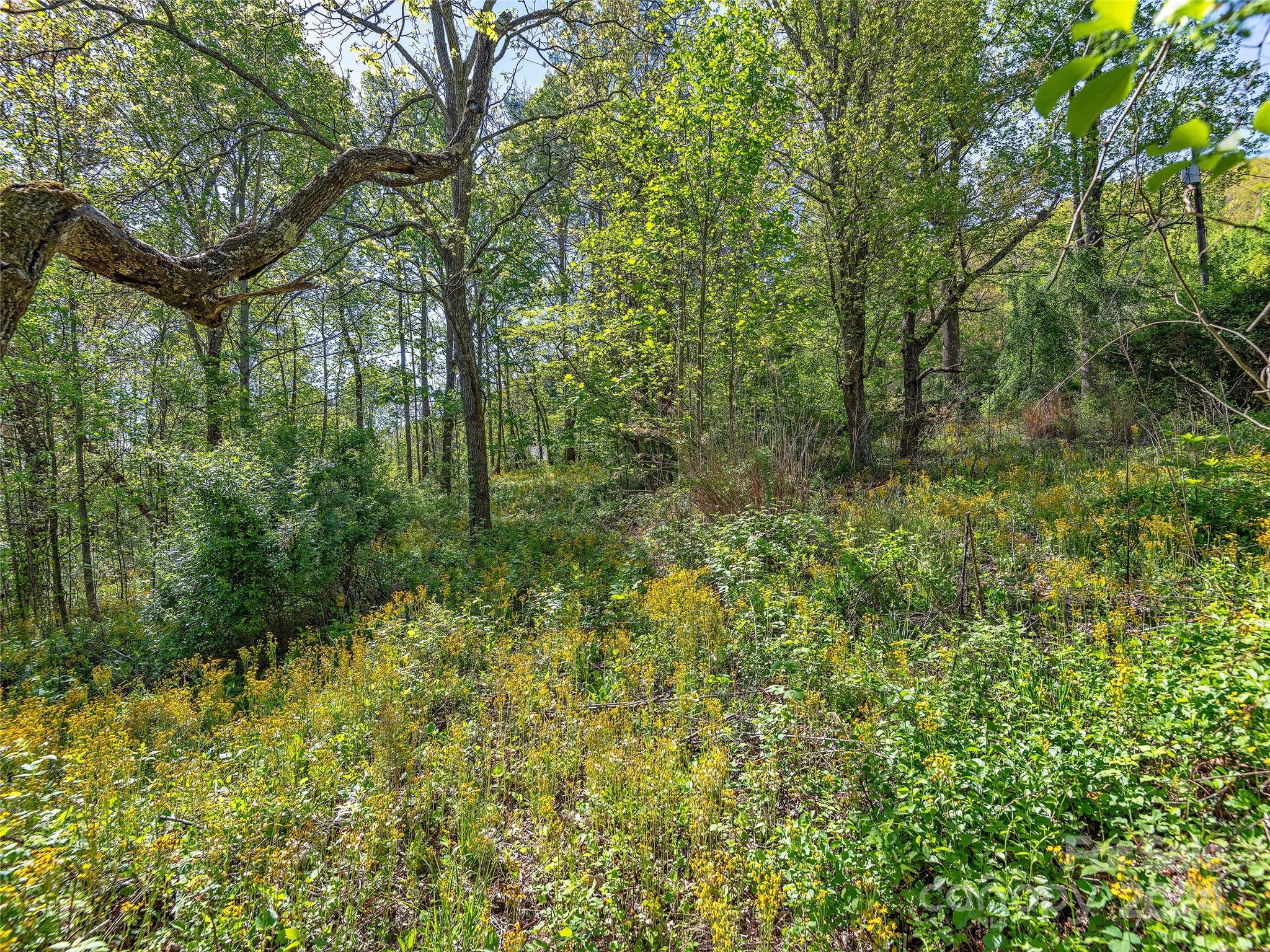 0 Bob Barnwell Road Fletcher, NC 28732 - Photo 3 of 28 Gallery Image 3