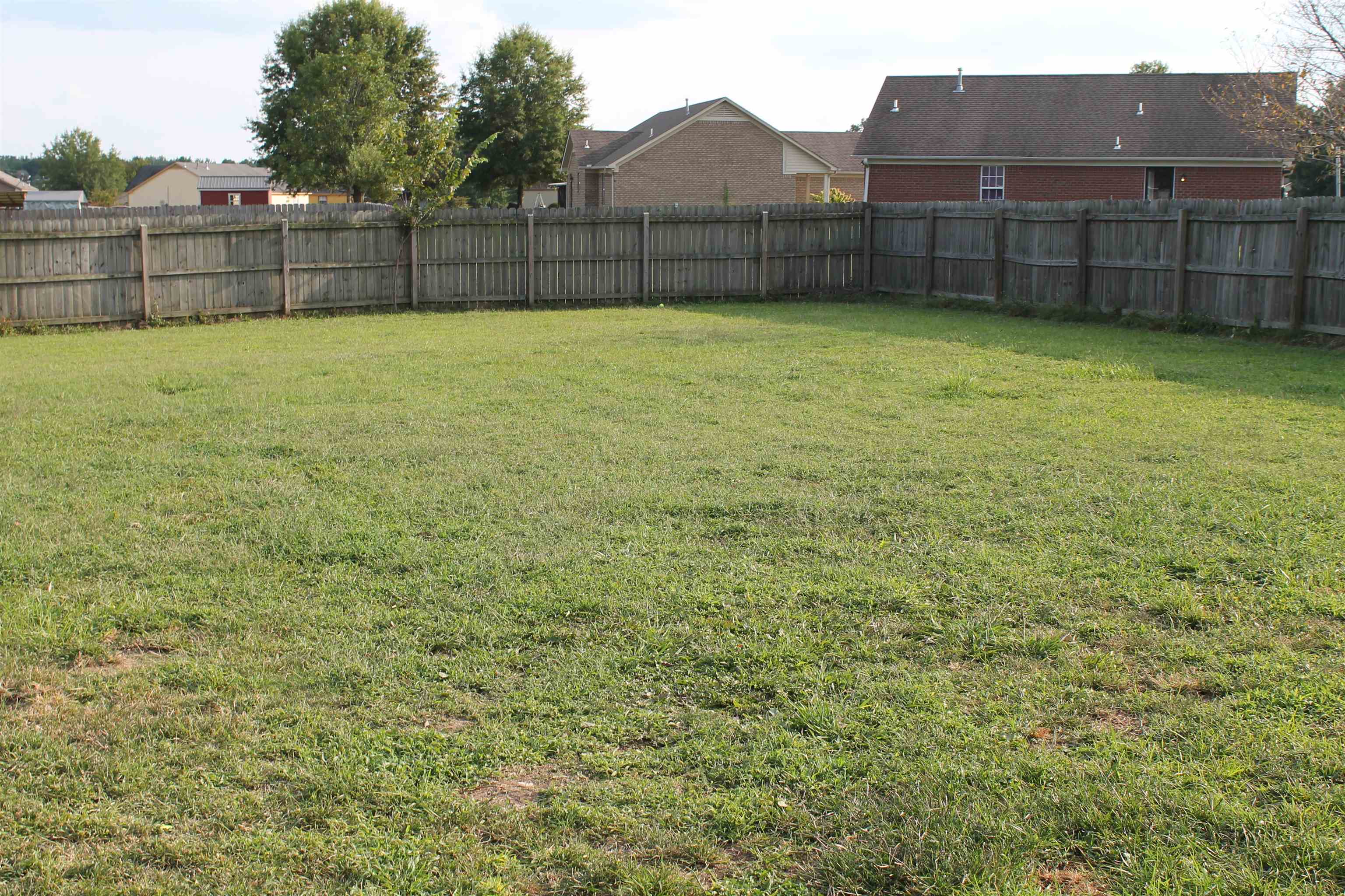 75 Springview Street Mason, TN 38049 - Photo 13 of 14 View of yard