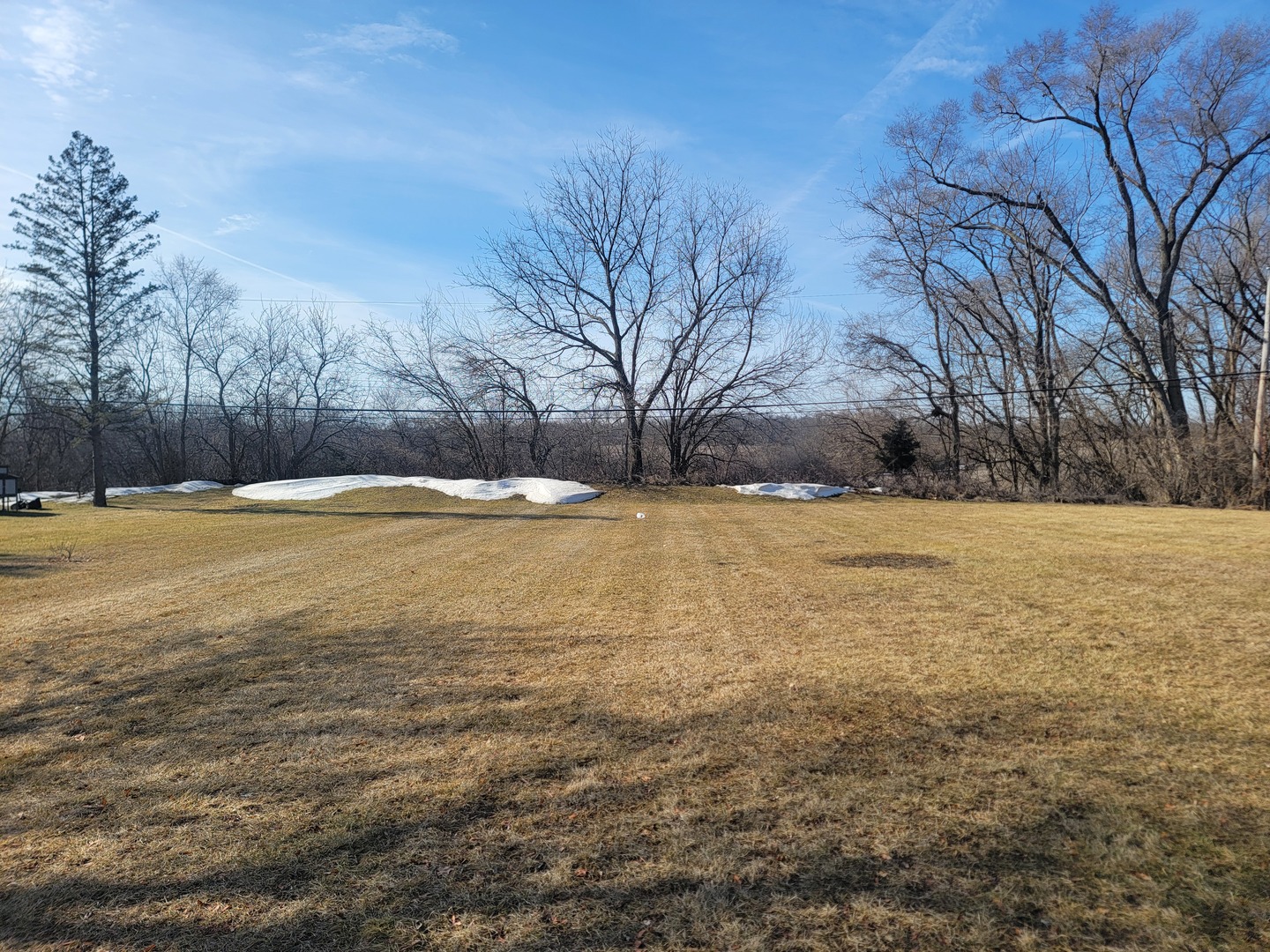 11N958 Almora Terrace Elgin, IL 60124 - Photo 24 of 26 a view of yard with large trees