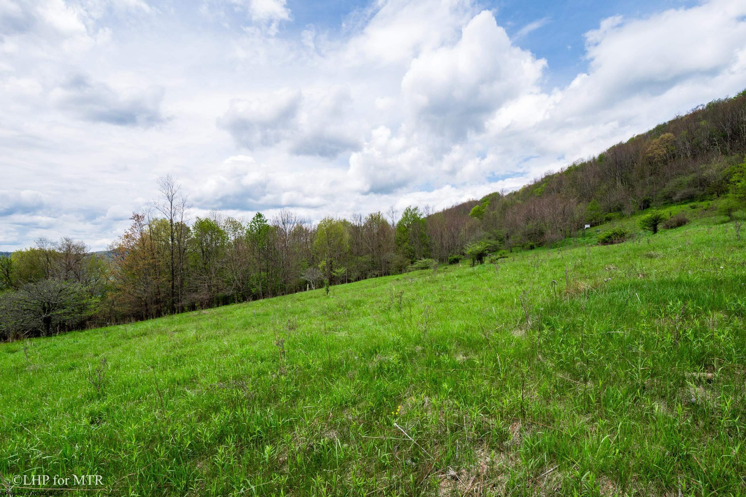 28 Meadows Road West Harman, WV 26270 - Photo 23 of 36 Gallery Image 23