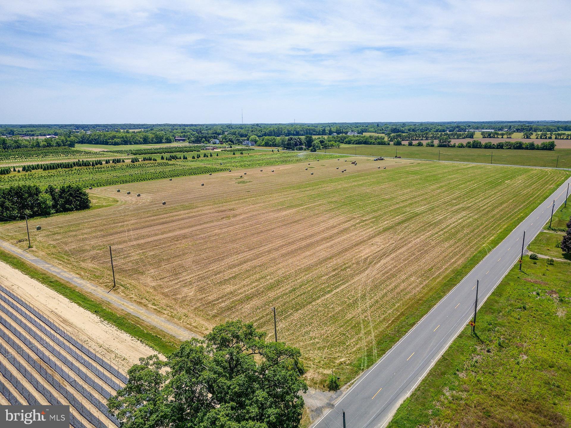 120 Richards Road Bridgeton, NJ 08302 - Photo 36 of 48 Property 17.5 Acres