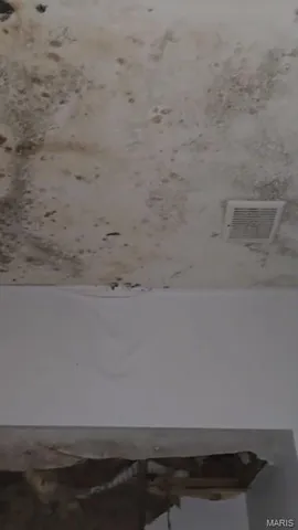 $125,000 | 1200 North Euclid Avenue, St. Louis, MO 63113