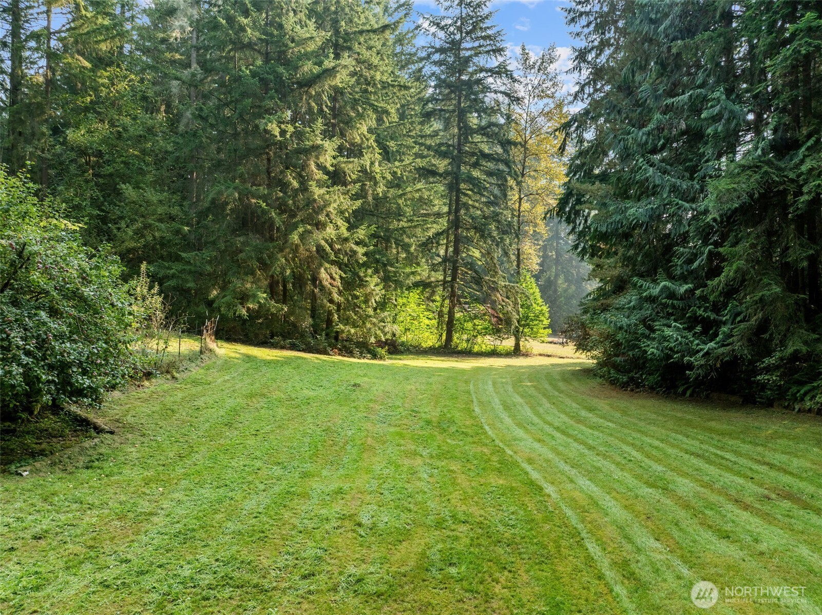 4714 175th Street Southeast Bothell, WA 98012 - Photo 4 of 40 a view of yard with green space