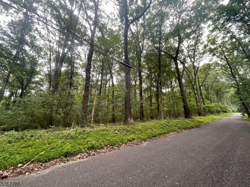 a view of a street with a trees