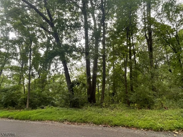 a green field with lots of trees