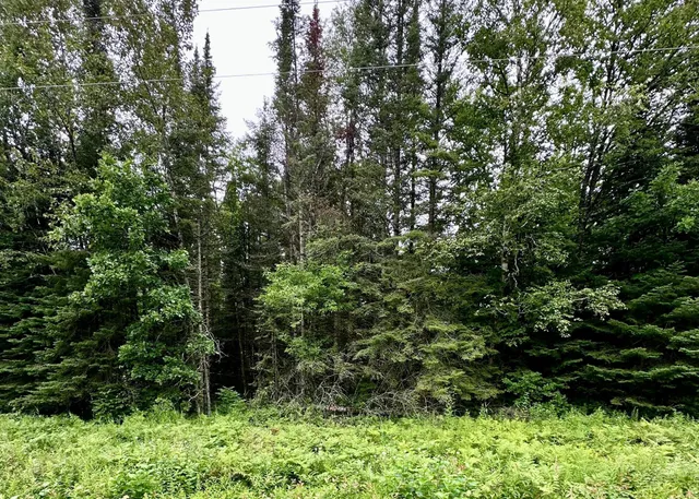 $32,000 | 34 County Road 34, Max, MN 56659