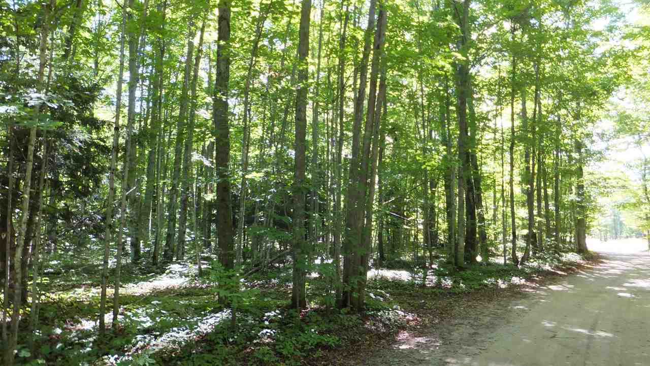 0 North Haze Road Beulah, MI 49617 - Photo 4 of 6 Gallery Image 4