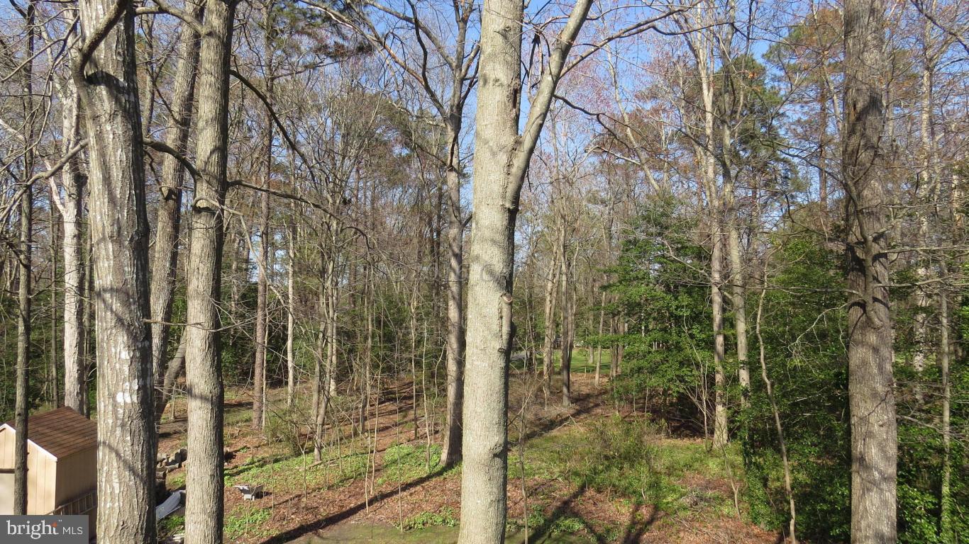 167 Windjammer Road Ocean Pines, MD 21811 - Photo 44 of 50