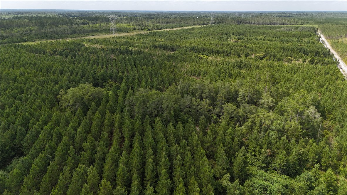 1 Trudie Road Patterson, GA 31557 - Photo 3 of 4