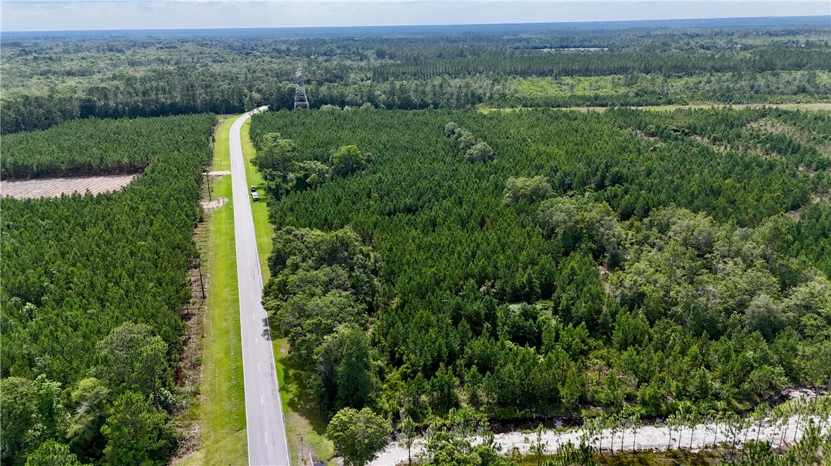 1 Trudie Road Patterson, GA 31557 - Photo 4 of 4