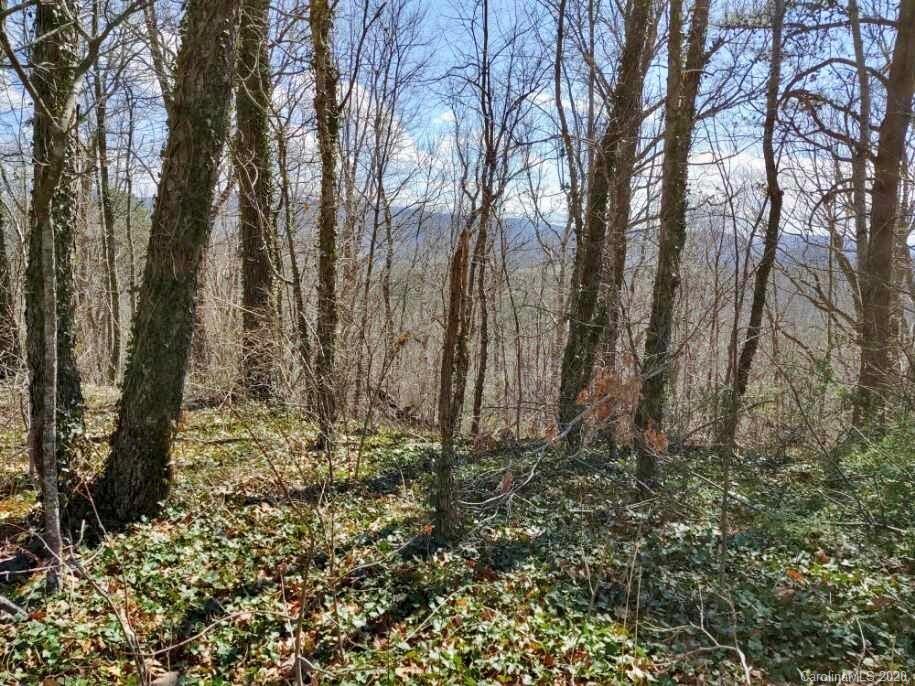 58 New Lite Road Fairview, NC 28730 - Photo 1 of 6 Gallery Image 1