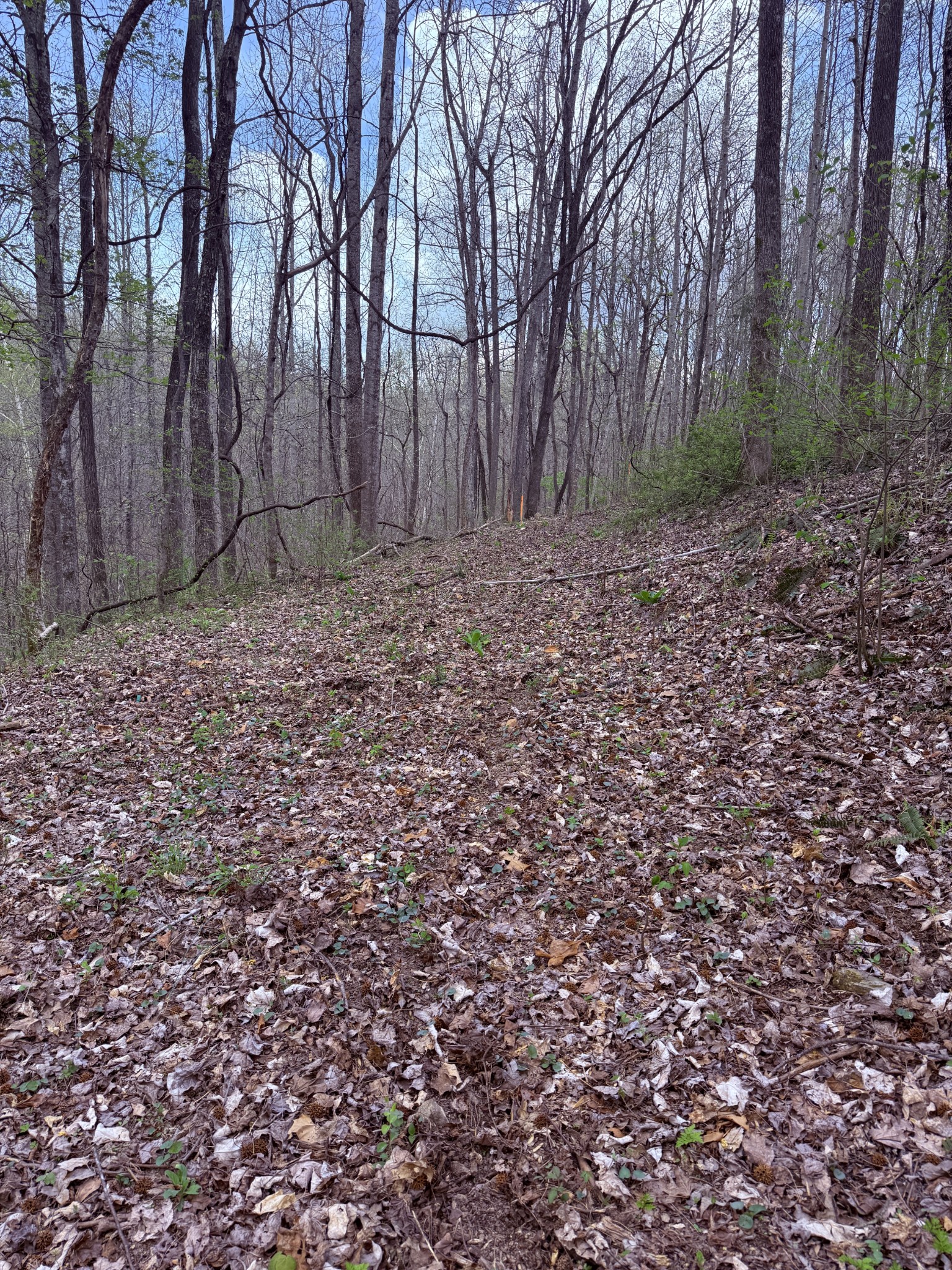 935 Sugar Tree Knob Road Liberty, TN 37095 - Photo 37 of 63 Gallery Image 37